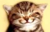 sunt adorabile?